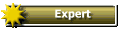 expert expert